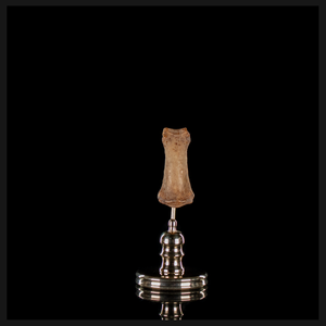 Human finger bone, on custom brass base