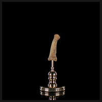 Human finger bone, on custom brass base